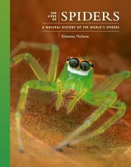 Lives of Spiders