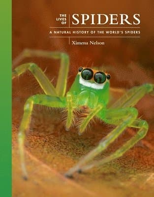 Lives of Spiders