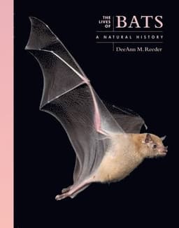 Lives of Bats