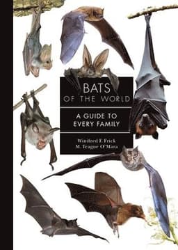 Bats of the World
