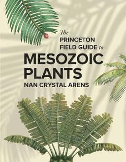 Princeton Field Guide to Mesozoic Plants