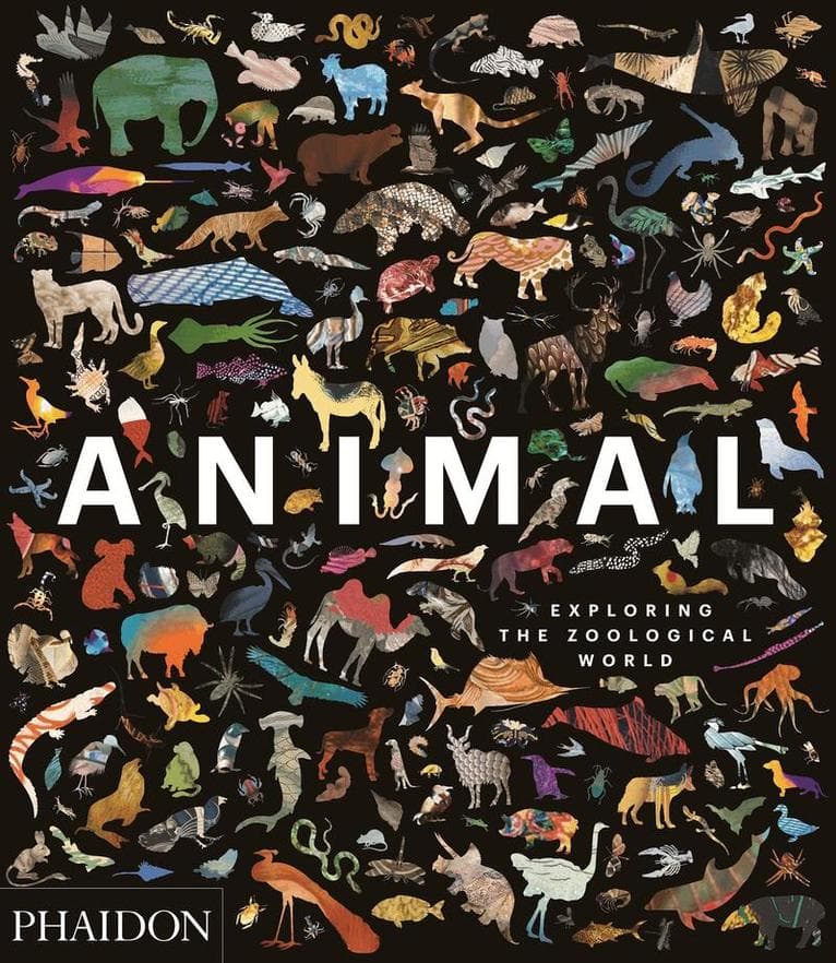 Animal