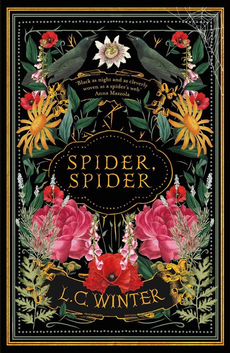Spider, Spider