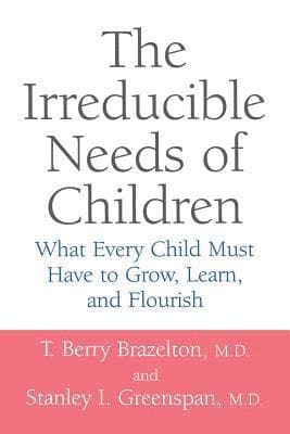 Irreducible Needs Of Children