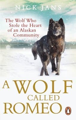 Wolf Called Romeo