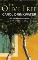 Olive Tree of Provence