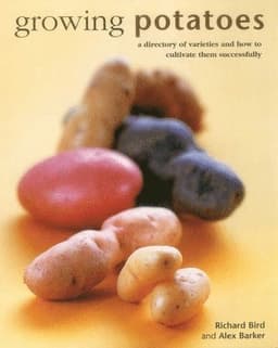 Growing Squashes & Pumpkins