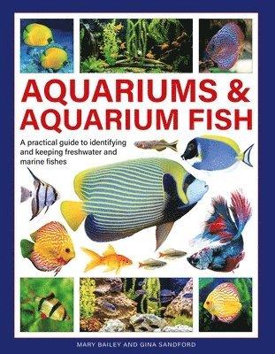 Aquariums & Aquarium Fish