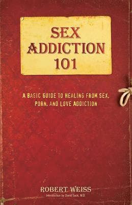 Sex Addiction 101: A Basic Guide to Healing from Sex, Porn, and Love Addiction