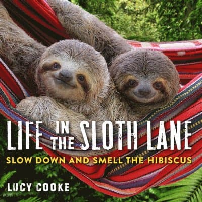 Life in the Sloth Lane