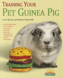 Training Your Pet Guinea Pig