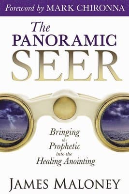 Panoramic Seer