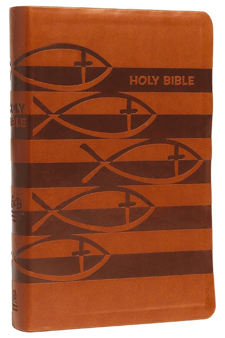 ICB, Holy Bible, Leathersoft, Brown