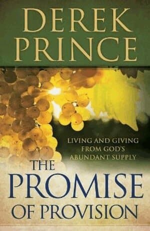 Promise of Provision – Living and Giving from God`s Abundant Supply