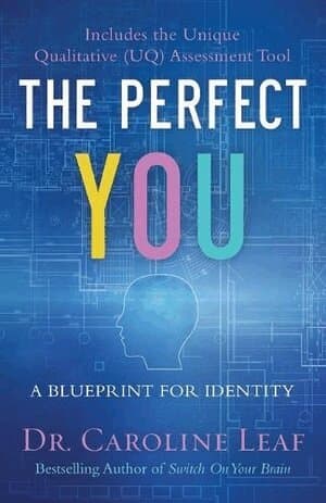 Perfect You – A Blueprint for Identity