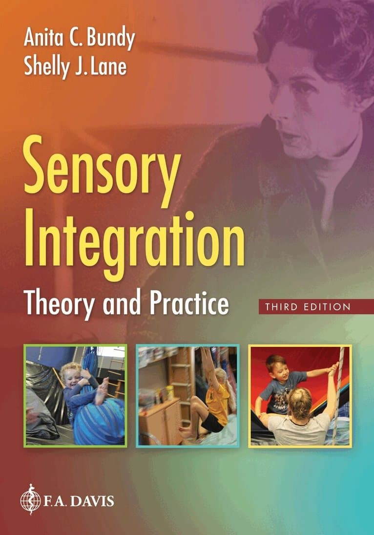 Sensory Integration