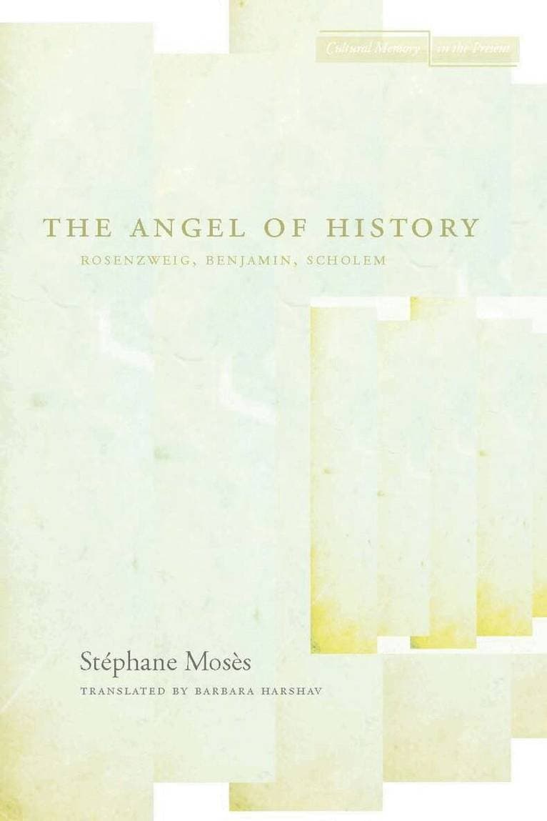 Angel of History