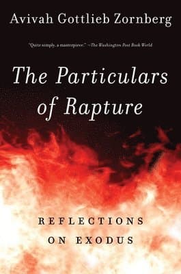 The Particulars of Rapture: Reflections on Exodos