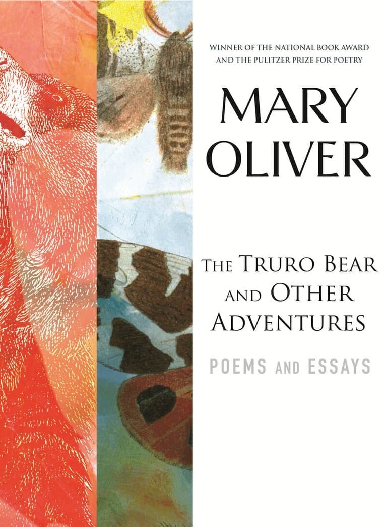 Truro Bear and Other Adventures