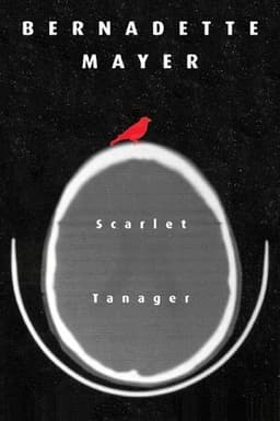 Scarlett Tanager