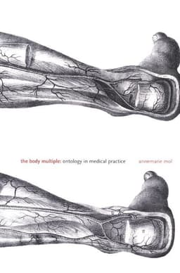 Body Multiple