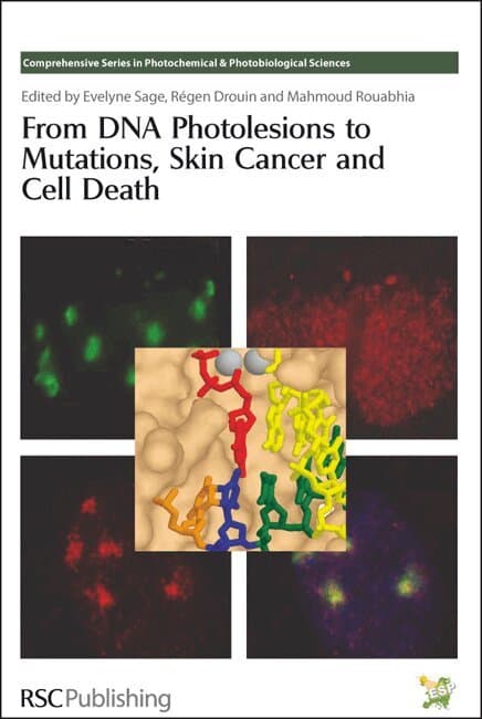 From DNA Photolesions to Mutations, Skin Cancer and Cell Death