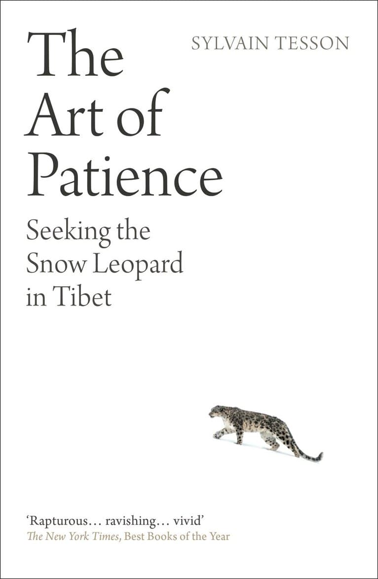 Art of Patience