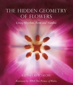 Hidden Geometry of Flowers