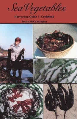 Sea Vegetables, Harvesting Guide