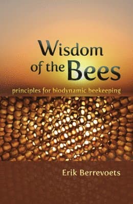Wisdom of Bees