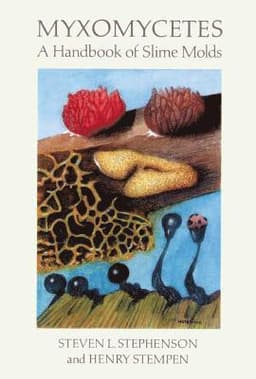 Myxomycetes