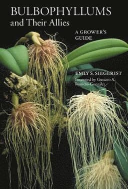 Bulbophyllums and Their Allies