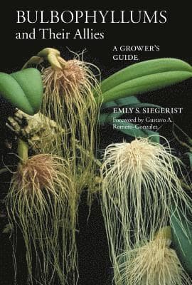 Bulbophyllums and Their Allies