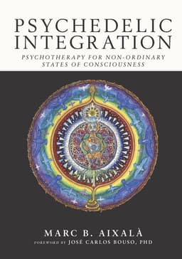 Psychedelic Integration