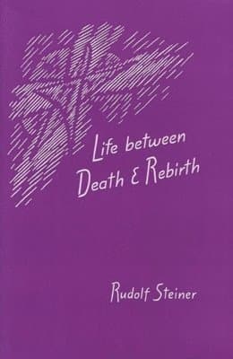 Life Between Death and Rebirth