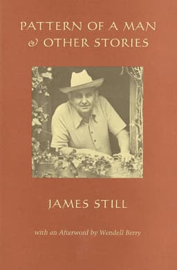 Pattern of a Man and Other Stories
