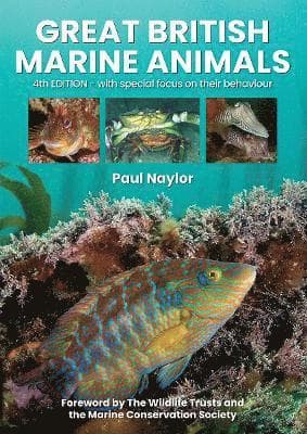 Great British Marine Animals