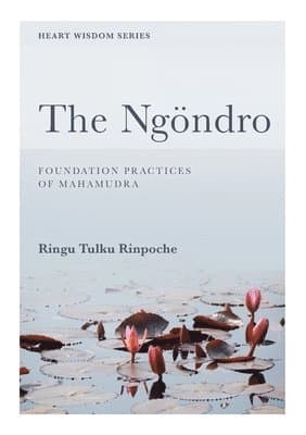 Ngondro, Preliminary Practices to Mahamudra
