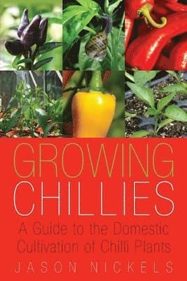Growing Chillies