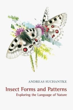 Insect Forms and Patterns Exploring the Language of Nature