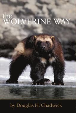 Wolverine Way