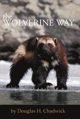 Wolverine Way