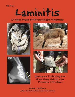 Laminitis: An Equine Plague of Unconscionable Proportions