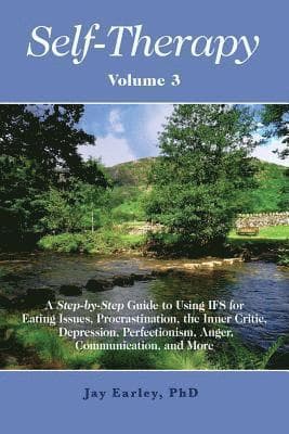 Self-Therapy, Vol. 3: A Step-by-Step Guide to Using IFS for Eating Issues, Procrastination, the Inner Critic, Depression, Perfectionism, Ang