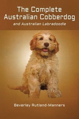 Complete Australian Cobberdog and Australian Labradoodle