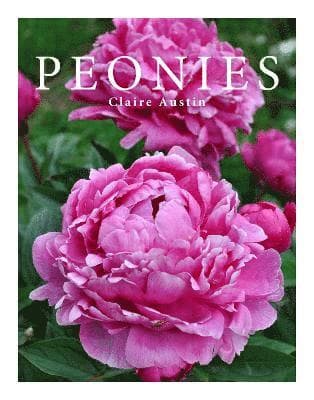 Peonies