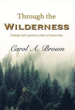 Through The Wilderness