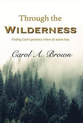 Through The Wilderness