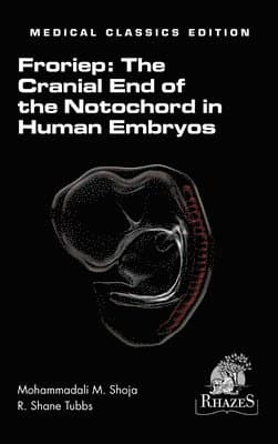 Cranial End of the Notochord in Human Embryos