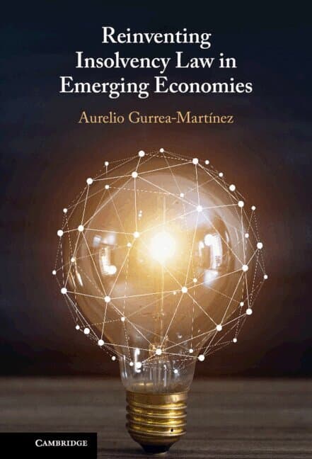 Reinventing Insolvency Law in Emerging Economies